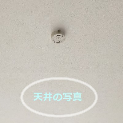 天井の写真